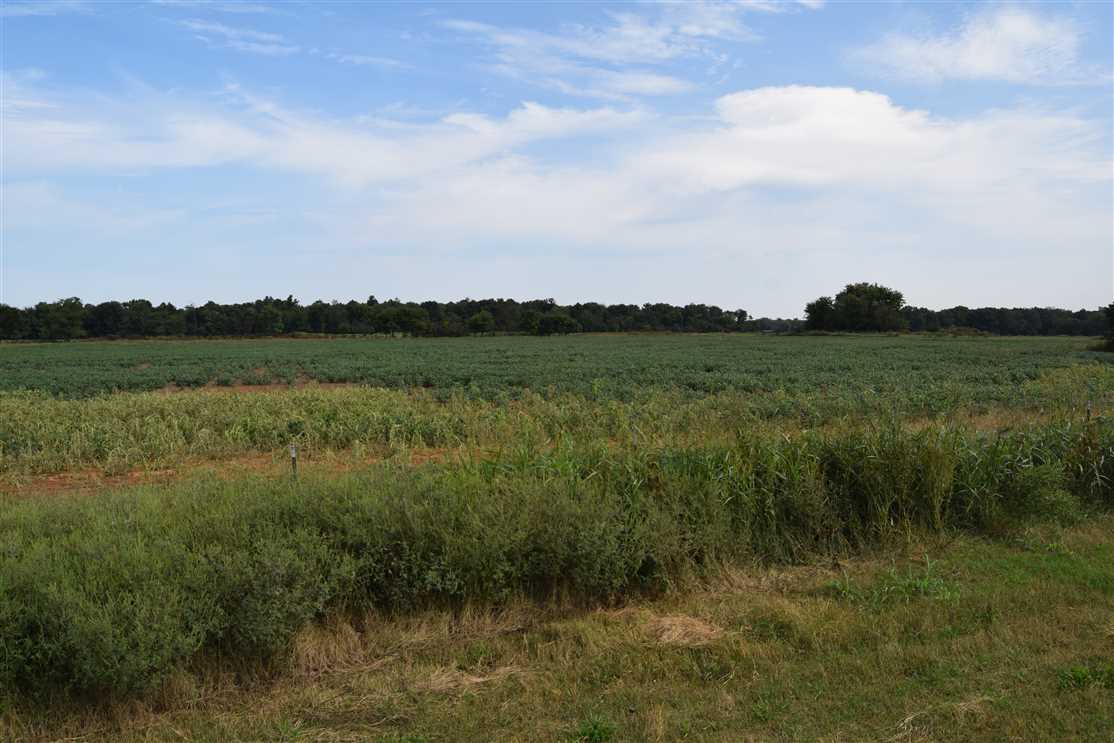 property for sale on The Land Market