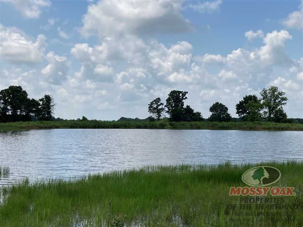 59.5 Acres of Ranchland land for sale in Elk City, elk County, Kansas