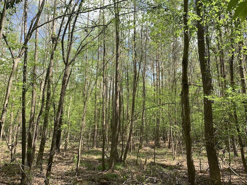 27.11 Acres of Recreational land for sale in Nashville, nash County, North Carolina