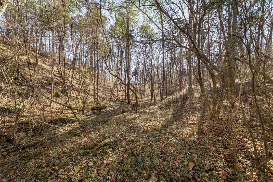 3.06 Acres of Land for sale in van buren County, Arkansas