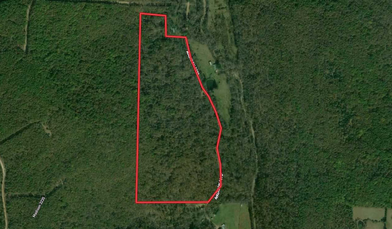 60 Acres of Land for Sale in madison County Arkansas