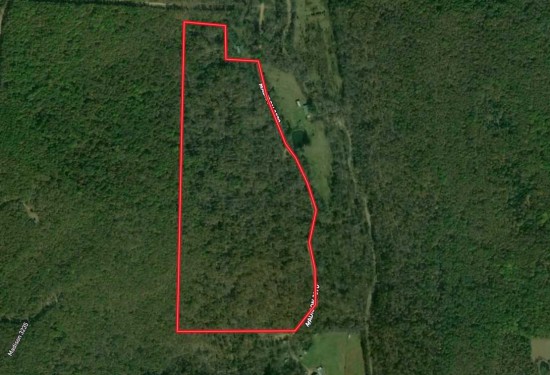60 Acres of Land for Sale in madison County Arkansas