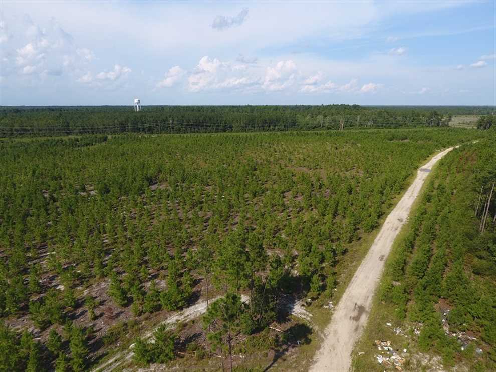 233 Acres of Land for sale in bladen County, North Carolina