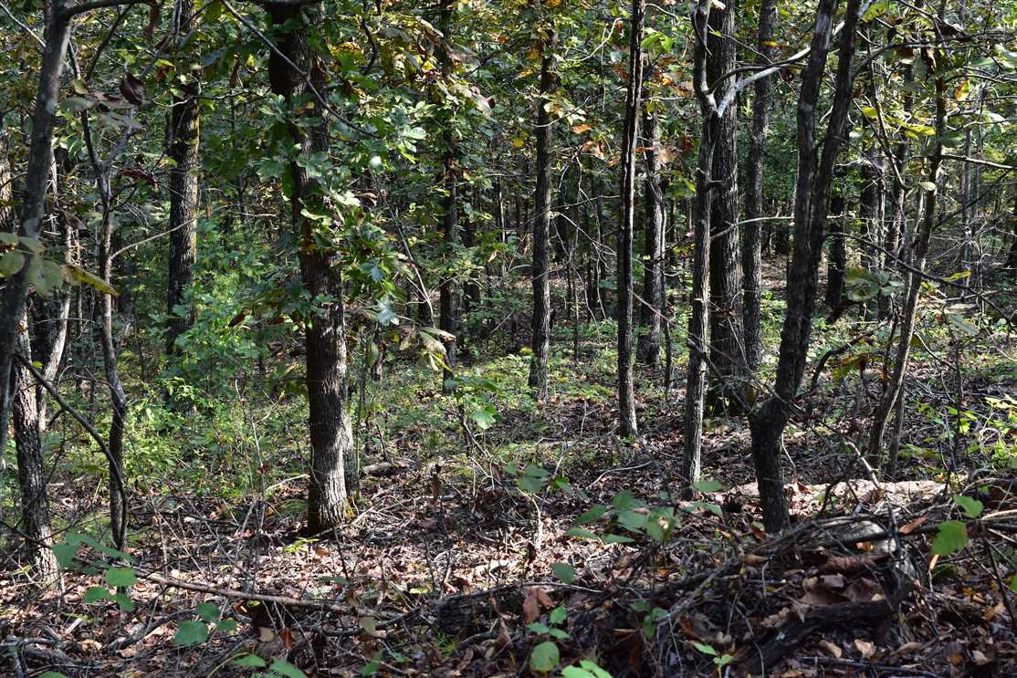 Bear Hollow Mountain 40 Real estate listing