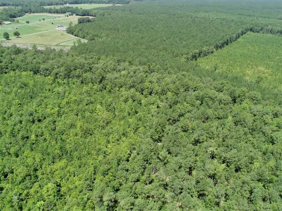12.59 Acre Wooded Residential Building Lot in Gates County NC! Real estate listing