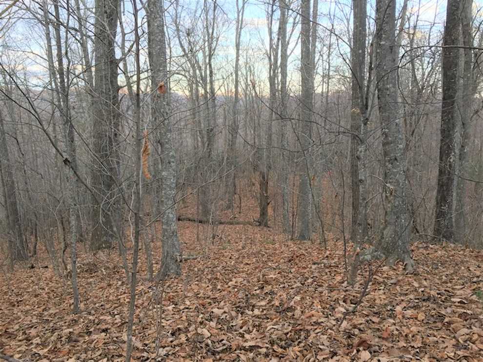 Residential and   property for sale on The Land Market