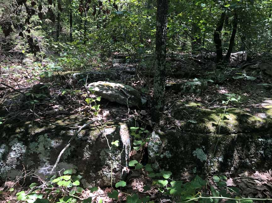 4.840 Naturally Wooded Acres on Hwy 87 (Floral Rd) near Concord, AR, in Cleburne County. Fantastic building site or hunting getaway! Real estate listing