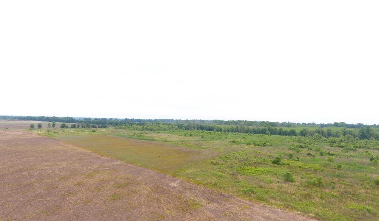 Recreational land real estate to buy in desha County AR