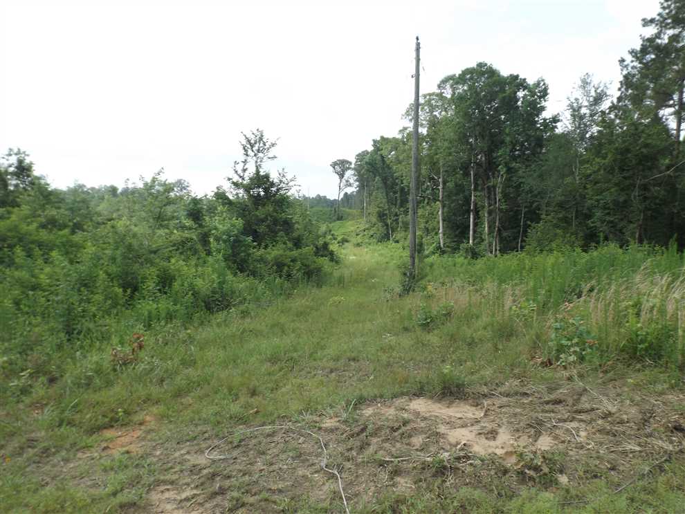 Recreational and   property for sale on The Land Market