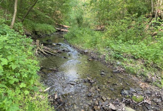 48 Acres of Land for Sale in washington County Pennsylvania