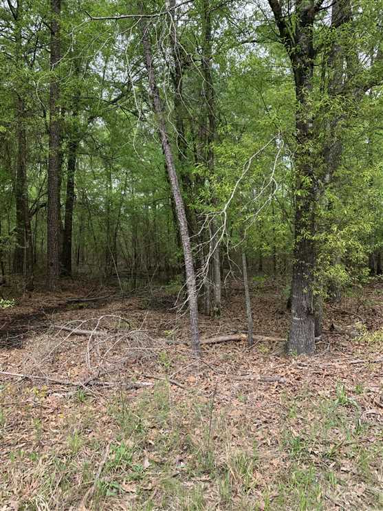 Houses and land for sale in Arkansas
