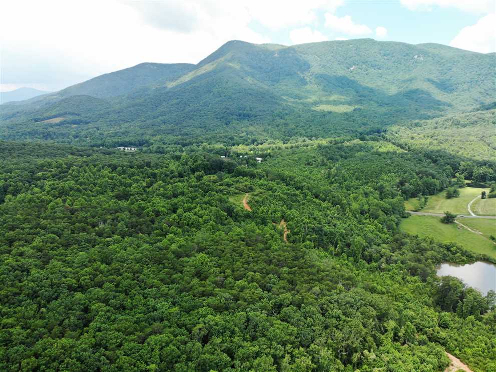 79.28 Acres of Land for sale in surry County, North Carolina