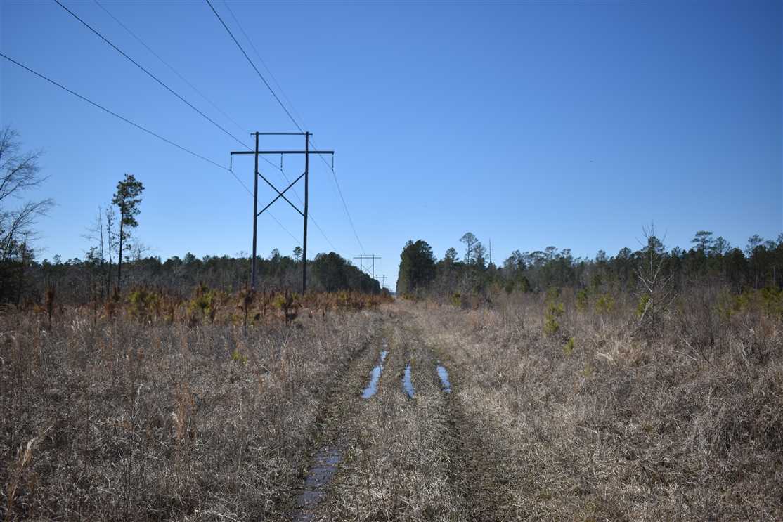 320 Acres of Land for sale in bradley County, Arkansas