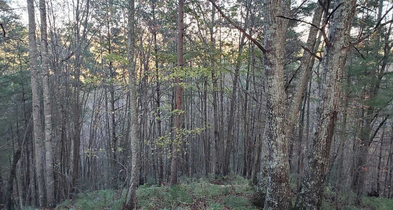 Houses and land for sale in North Carolina
