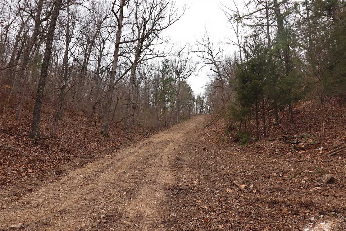 carroll County, Arkansas property for sale