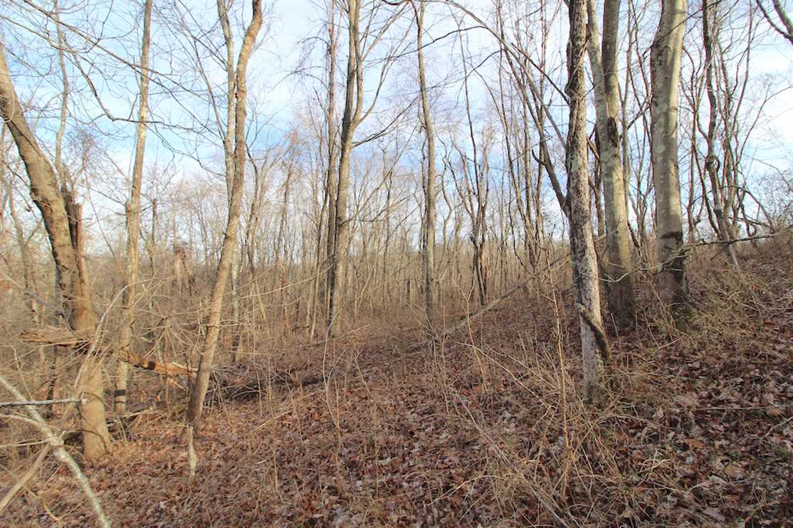 10.87 Acres of Recreational land for sale in Pleasant City, guernsey County, Ohio