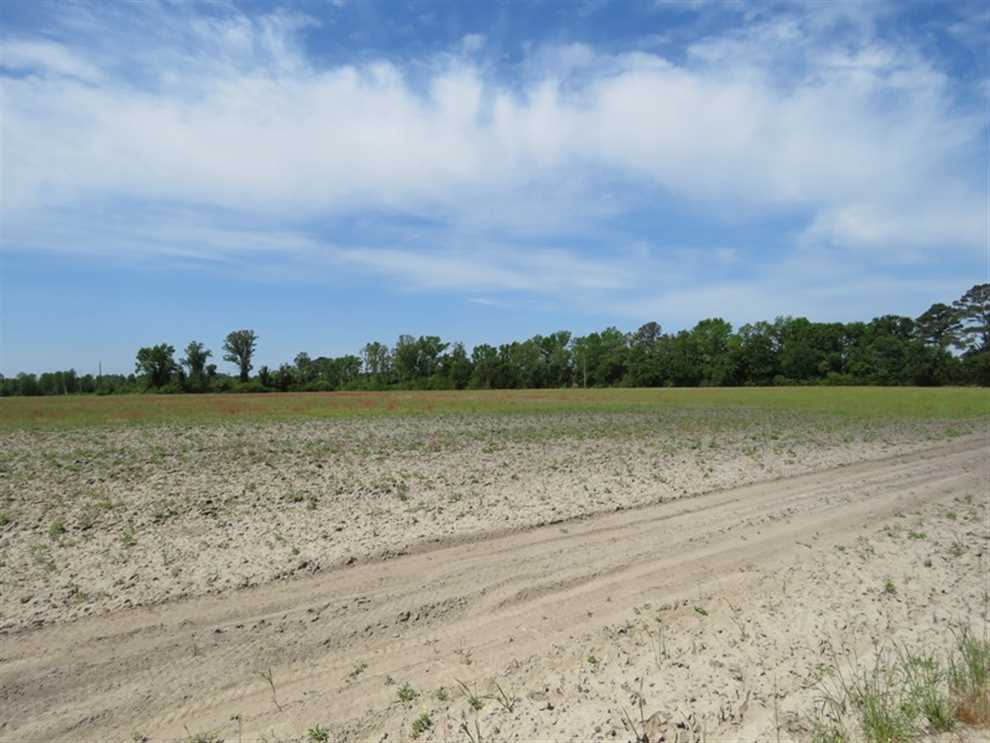 robeson County, North Carolina property for sale