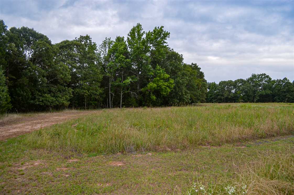 20 Acres of Land for sale in elmore County, Alabama