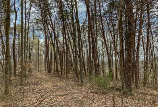105 Acres of Land for Sale in vinton County Ohio