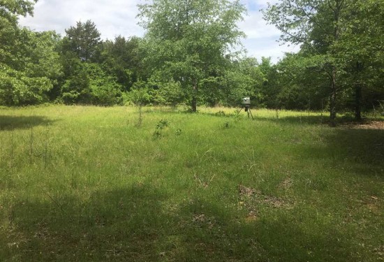 7.5 Acres of Land for Sale in sharp County Arkansas
