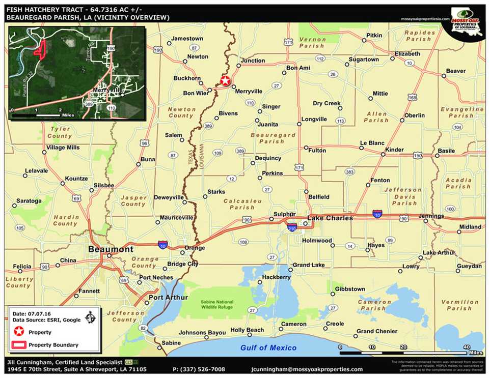 beauregard County, Louisiana property for sale