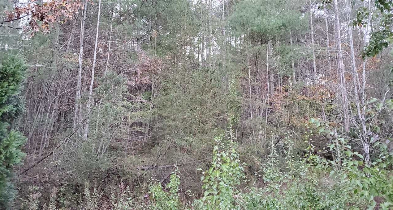 Houses and land for sale in North Carolina