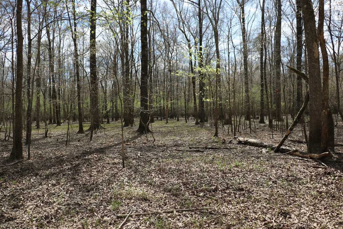 Recreational and   property for sale on The Land Market