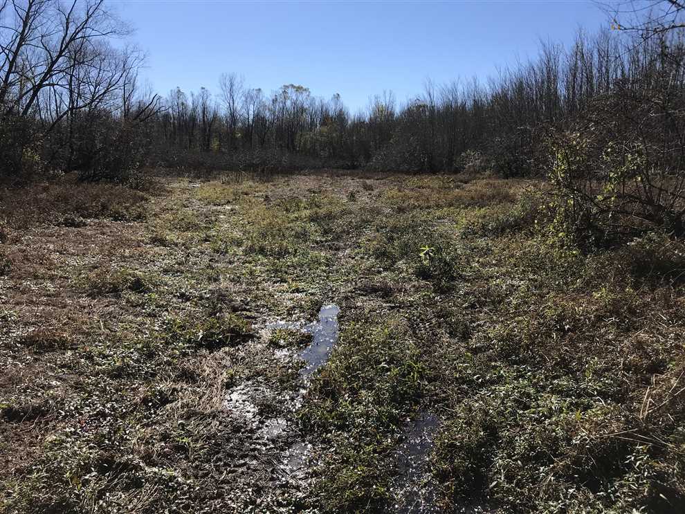 Duck hunting and pasture tract Real estate listing