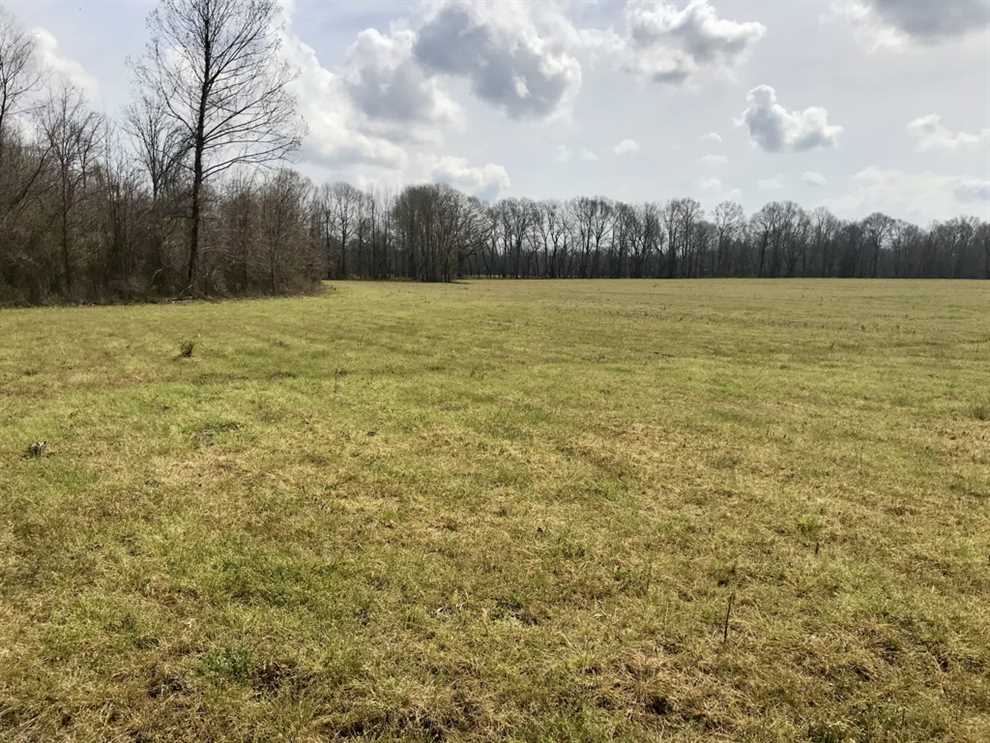 240 Acres of Recreational land for sale in Port Gibson, claiborne County, Mississippi
