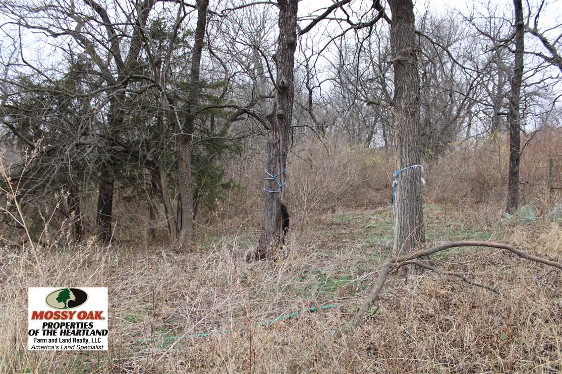 Property for sale at 2500 SE Stubbs Rd