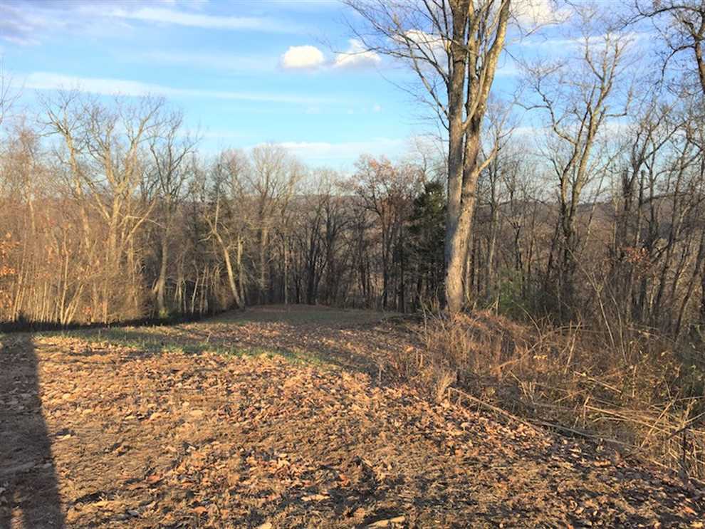It's all about the view! 7+/- Acres with Homesite! Real estate listing