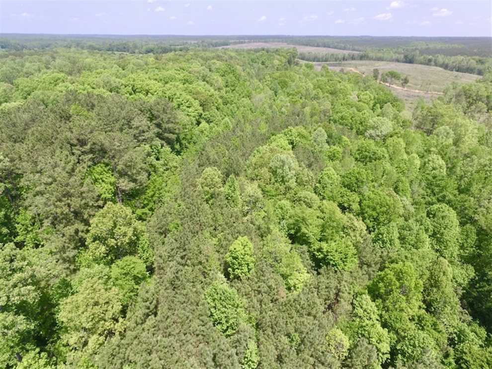 brunswick County, Virginia property for sale