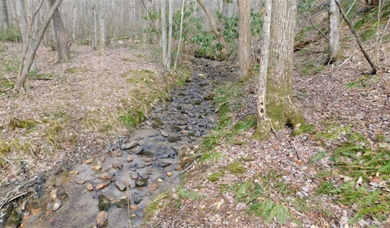 Property for sale at Off Pine Spur Ln.