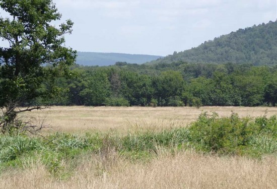 77.47 Acres of Land for Sale in atoka County Oklahoma