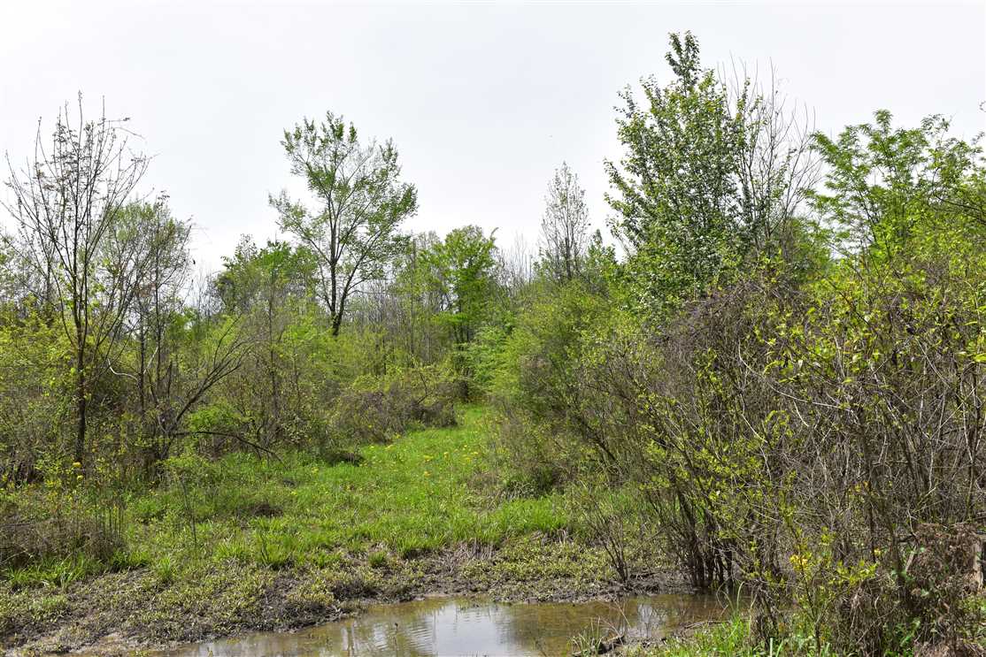 Recreational and   property for sale on The Land Market