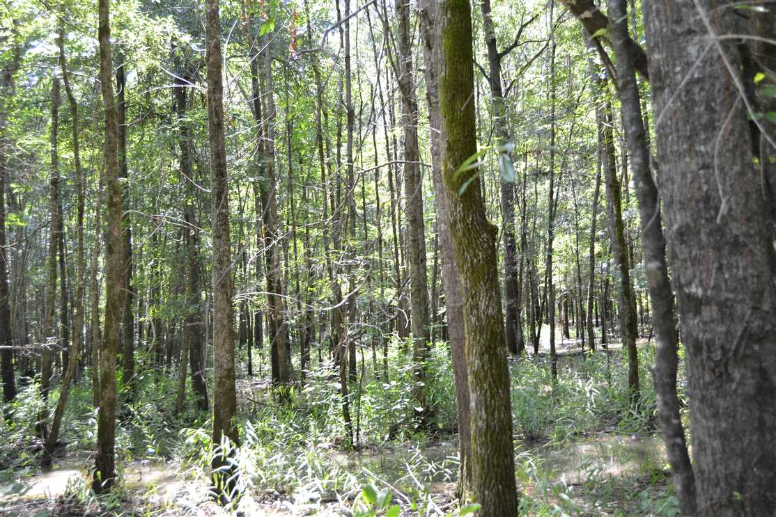 Recreational and   property for sale on The Land Market