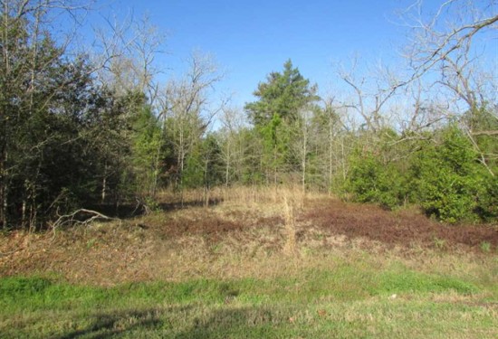7.3 Acres of Land for Sale in dougherty County Georgia