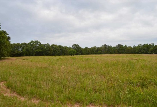 20 Acres of Land for Sale in elmore County Alabama