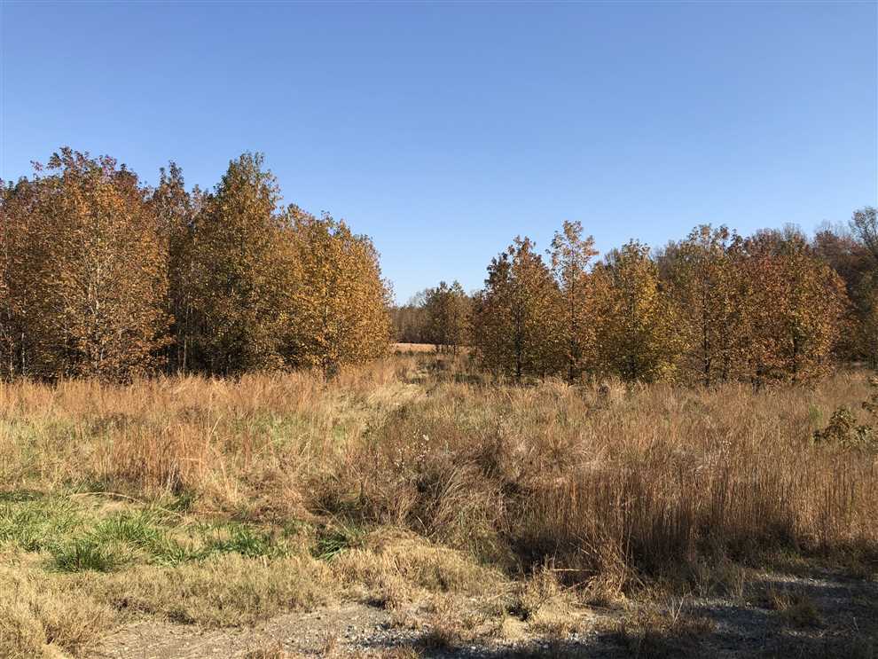 Land for sale at 000 Hwy 36 at Hwy 305 Center Hill