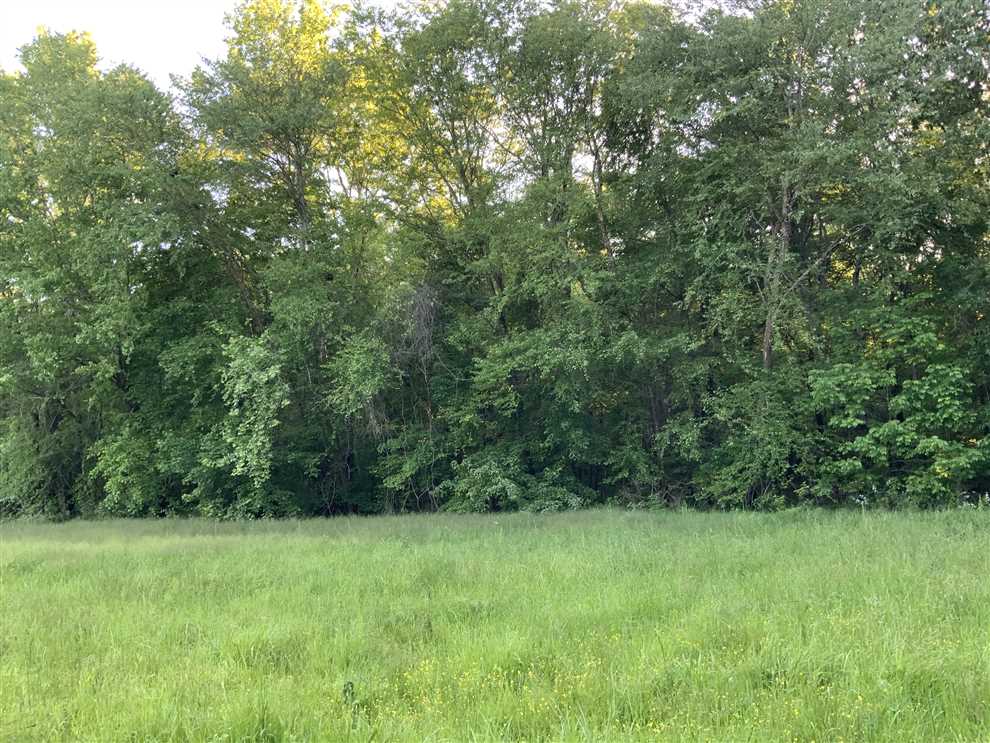 Houses and land for sale in Tennessee