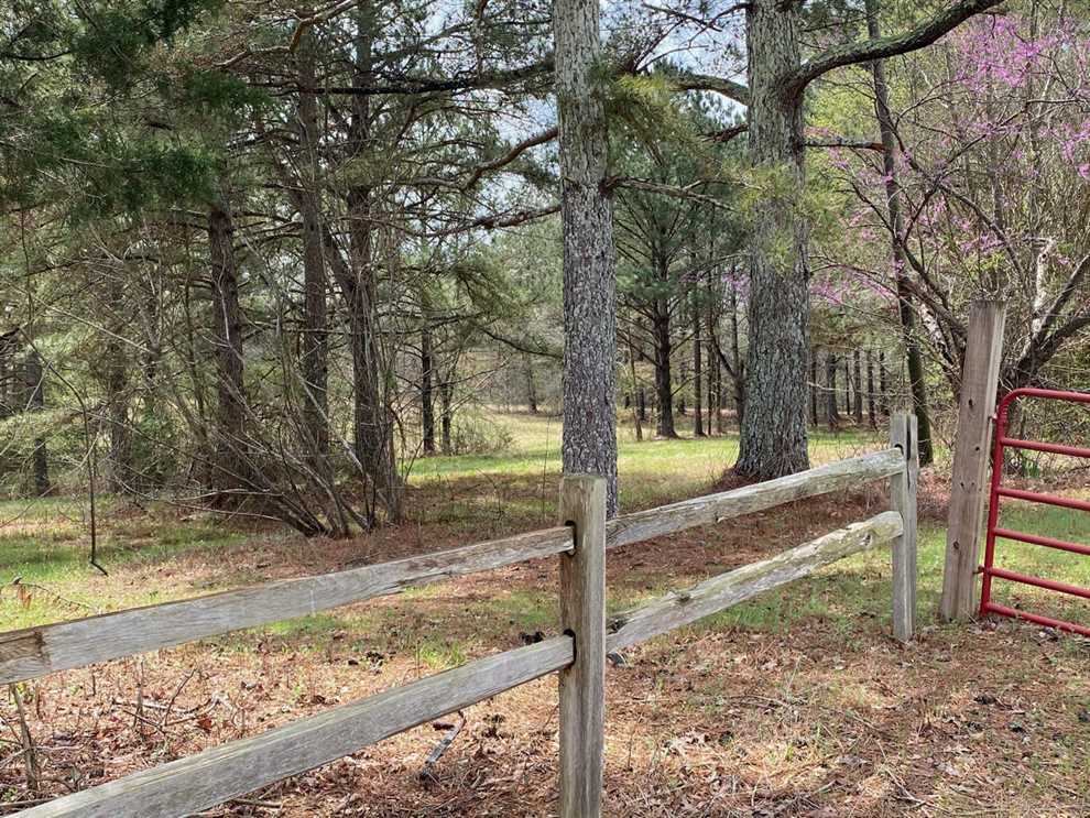 Houses and land for sale in Mississippi