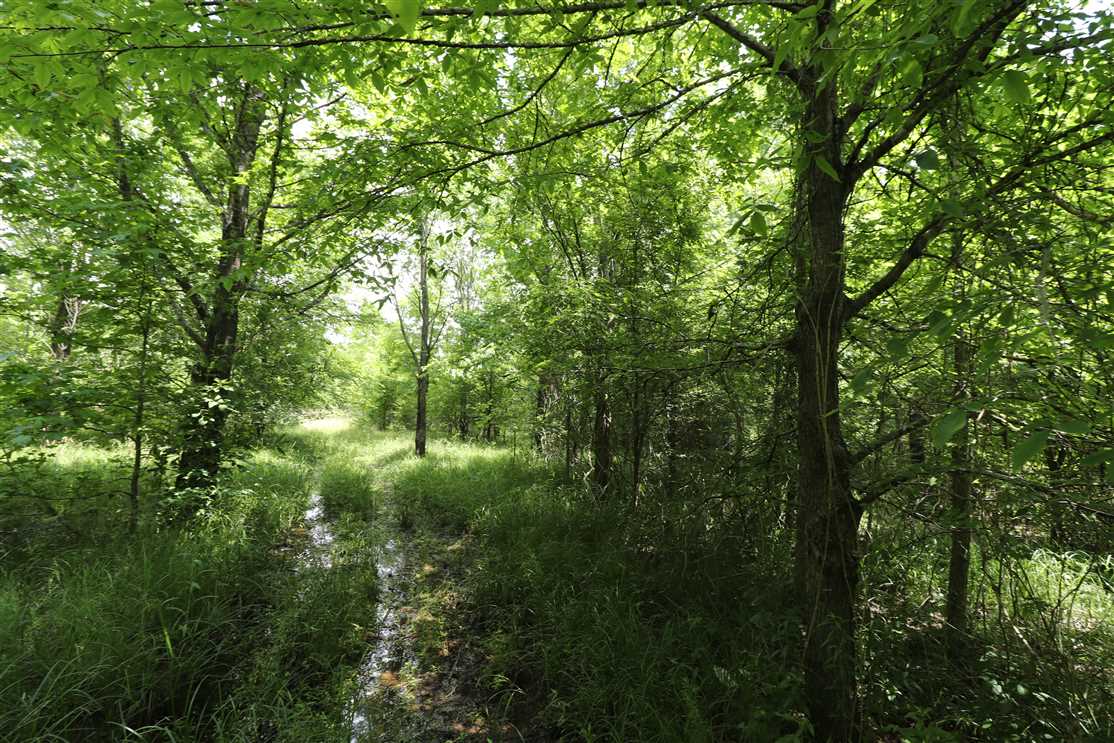 property for sale on The Land Market