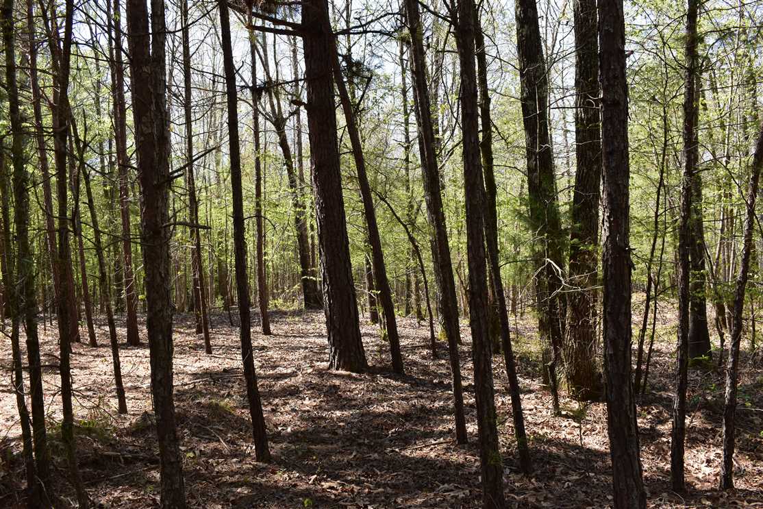 Sanders Creek Real estate listing