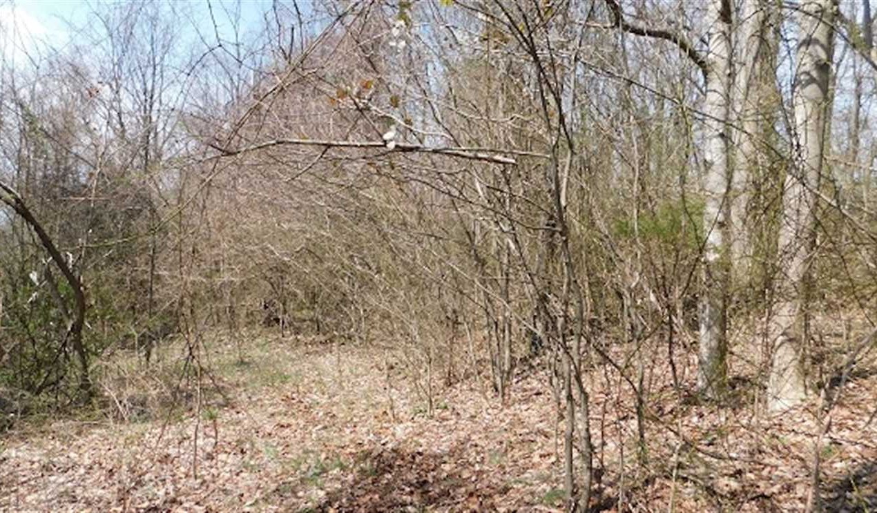 Farmland real estate available to buy