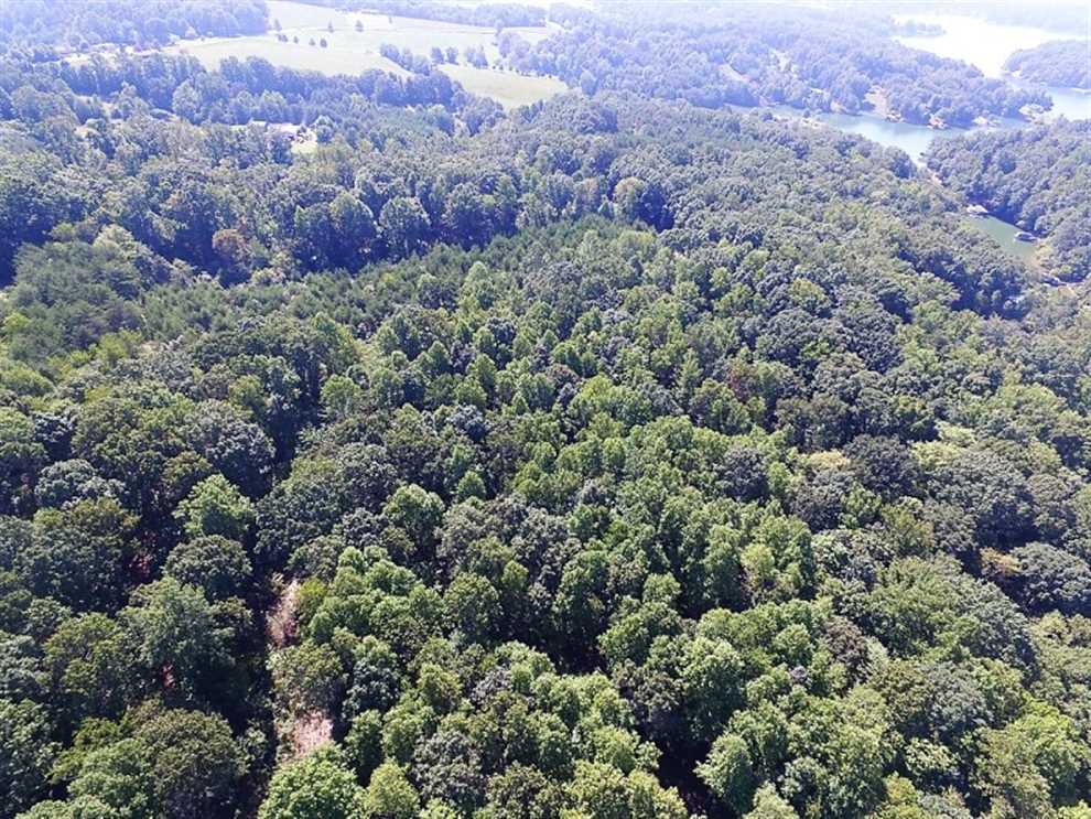 Land for sale to buy in 24121 zip code