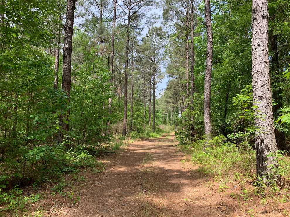 Recreational and   property for sale on The Land Market