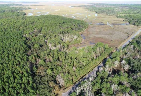23 Acres of Land for Sale in camden County Georgia