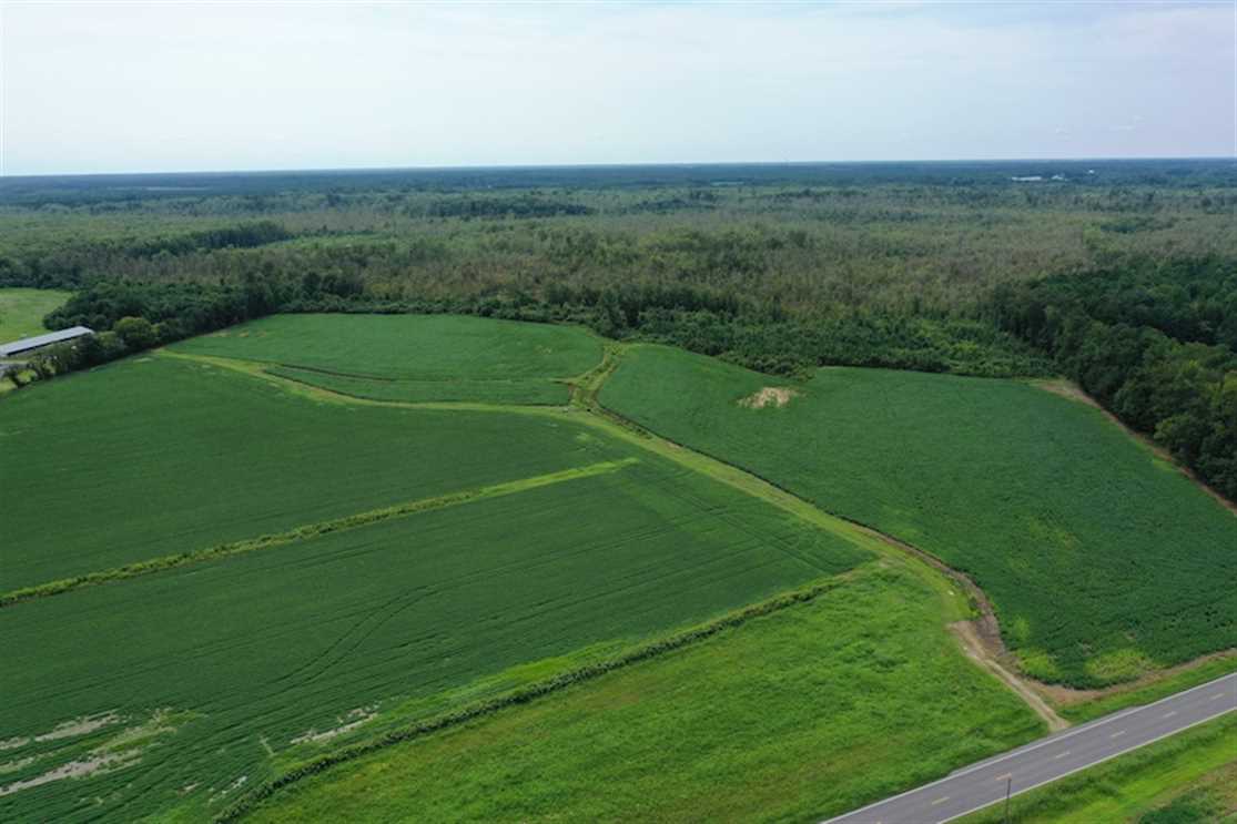 REDUCED! 177 Acres of Farm and Hunting Land For Sale in Nash County NC! Real estate listing