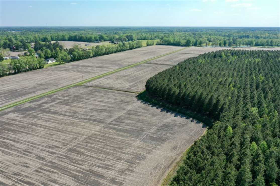 19 acre Homesite for Sale in Craven County NC! Real estate listing