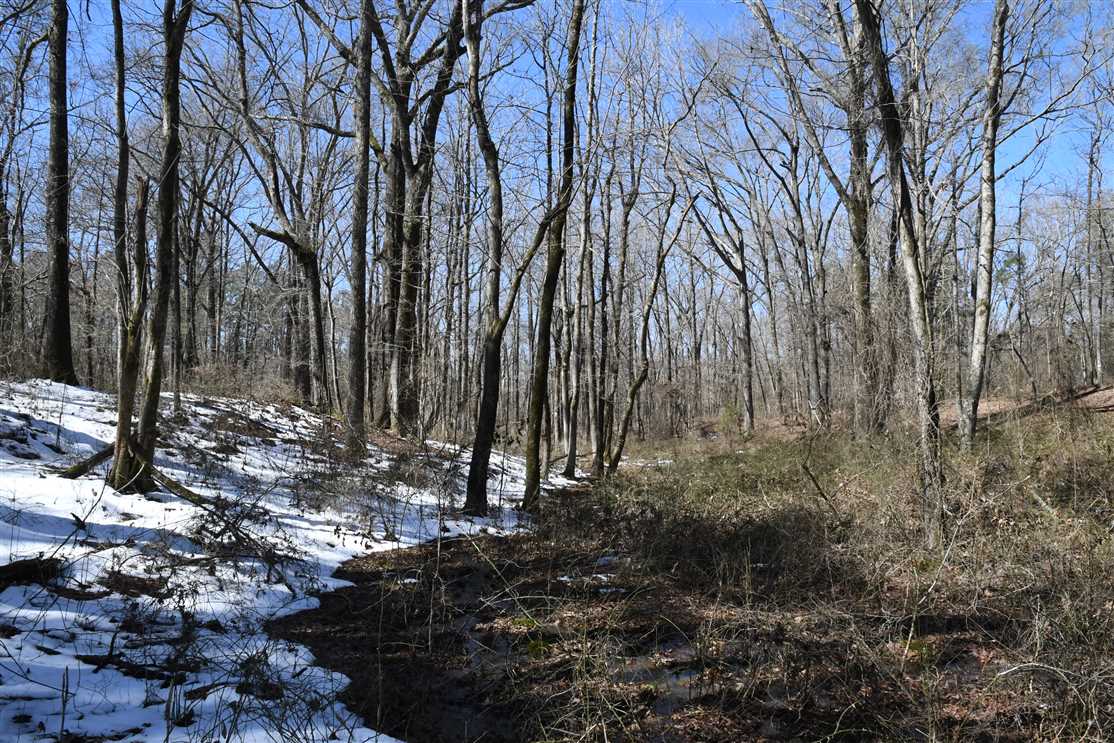 property for sale on The Land Market